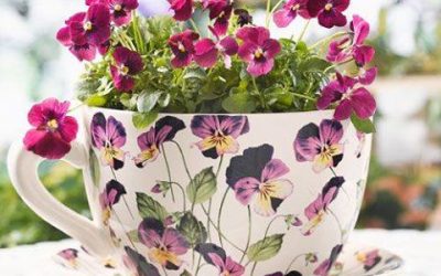 Curiositats sobre les flors