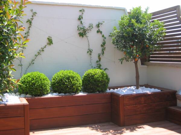 conillas-paisajismo-jardinieria-proyecto-paisajistico-en-terraza