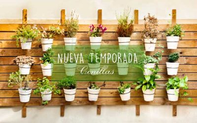 Empieza la nueva temporada