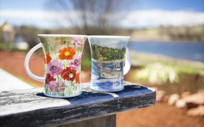 Nova col·lecció Tasses Dunoon