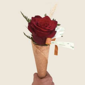 Rosa Cucurucho de Sant Jordi - By Conillas