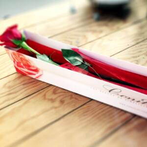 Rosa Premium Conillas