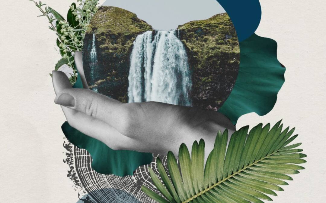 ¿Qué pensamos en Conillas sobre la crisis del agua?