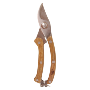 Tissores Vintage Especials de Podar d'Acer Inoxidable