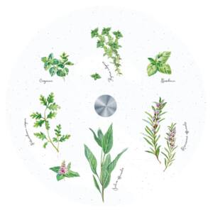 Tabla giratoria de vidrio Ø 32 cm – HERBARIUM