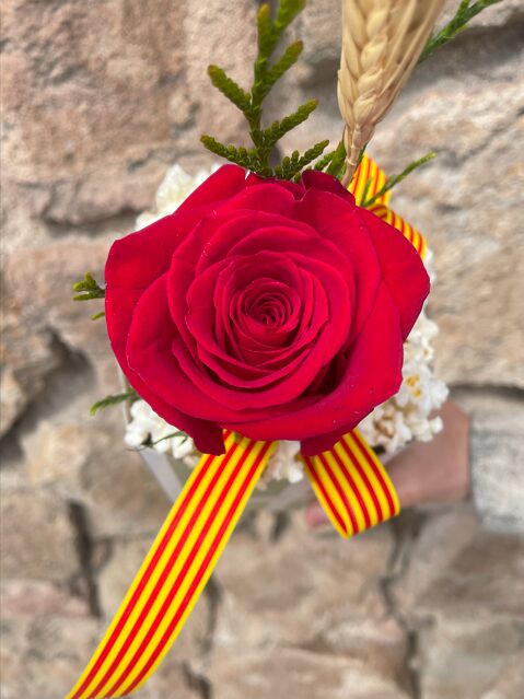 Pop-Pop Rosa By Conillas - Imagen 4