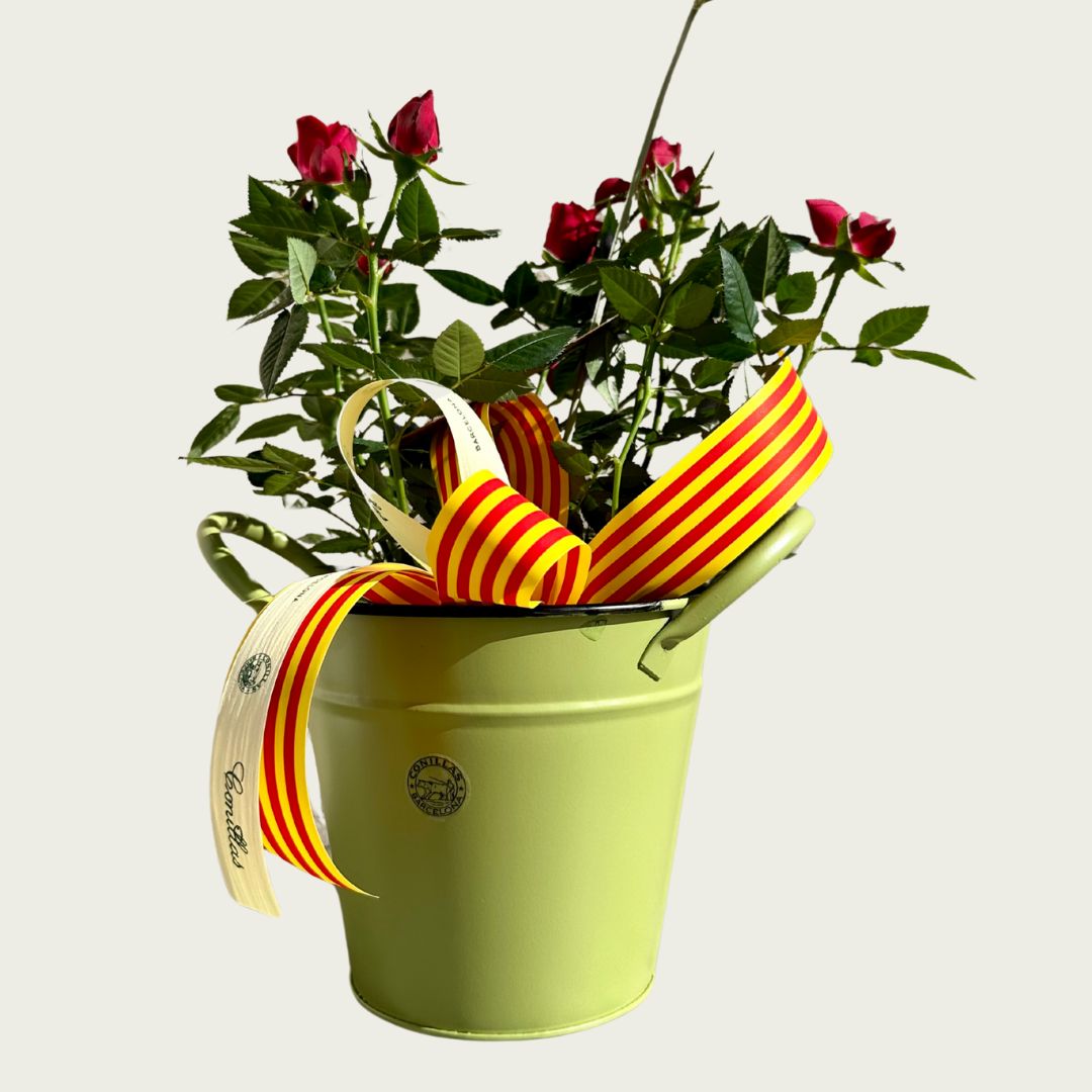 Roser de Pitimini - Test de 12cm de Metall - Imatge 2