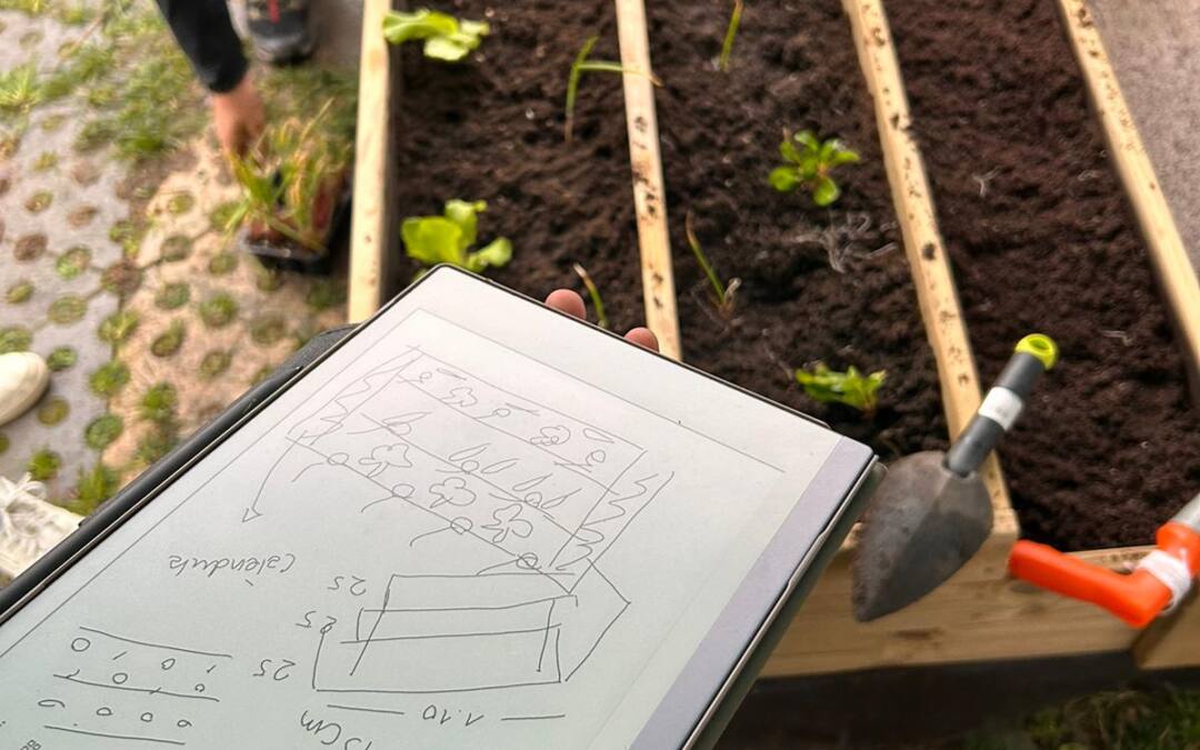 🌱 Crónica del Taller de Huerto Urbano: aprender, tocar y observar (incluso cuando llueve) 🌧️